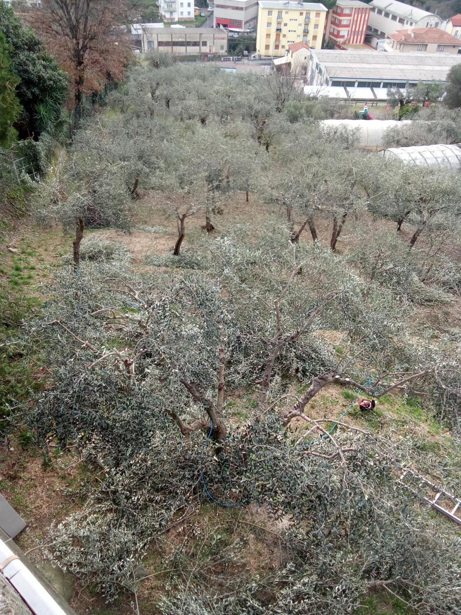 Agriturismo Cele Celle Ligure Exterior foto