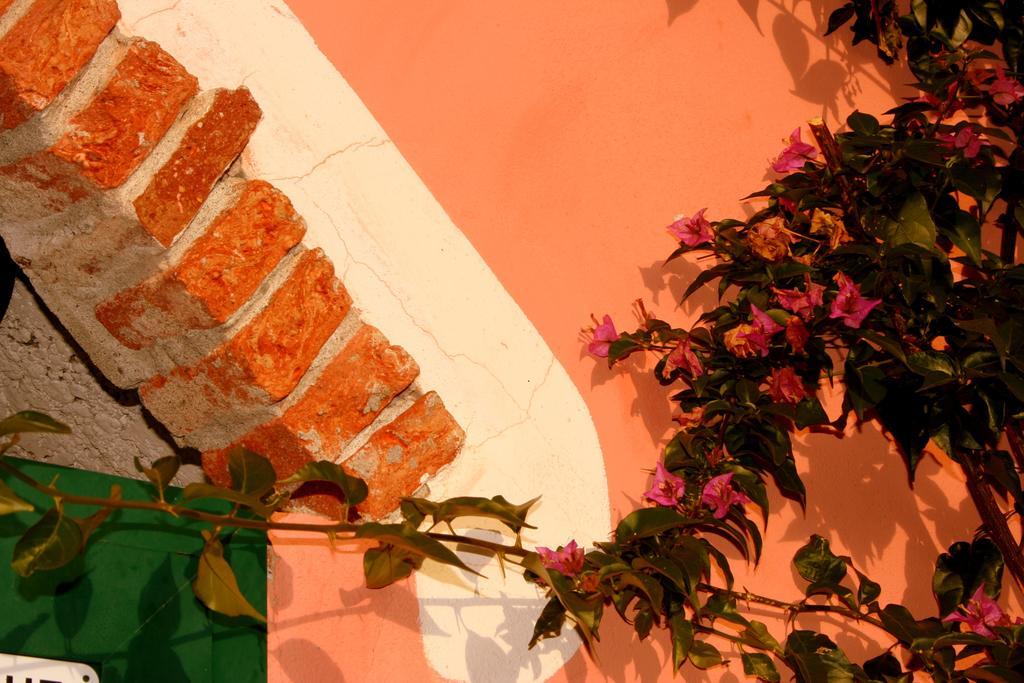 Agriturismo Cele Celle Ligure Exterior foto
